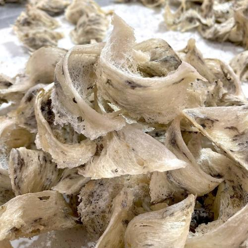 Tổ yến thô là gì?