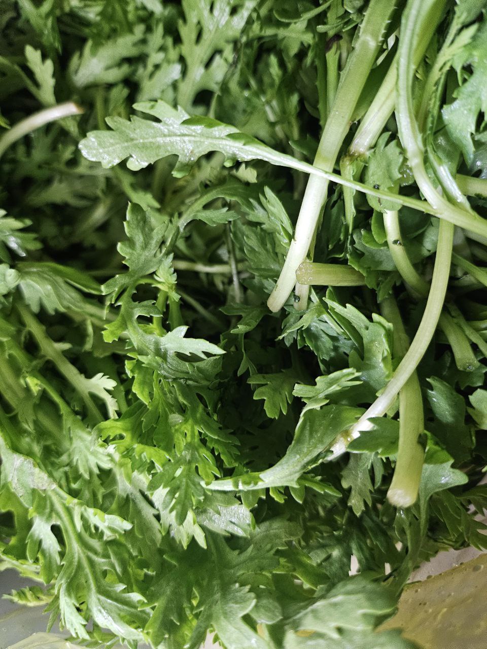 2. Rau lá xanh 