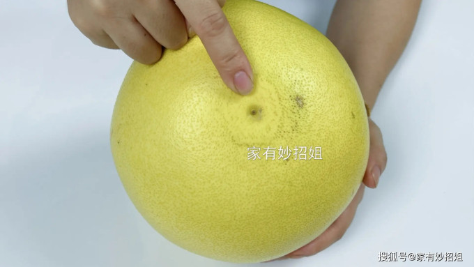 Quan sát đáy quả