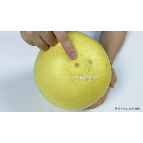 Quan sát đáy quả