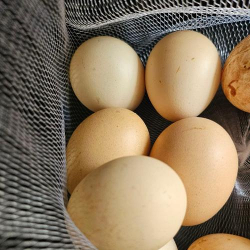 Thực phẩm giàu vitamin B