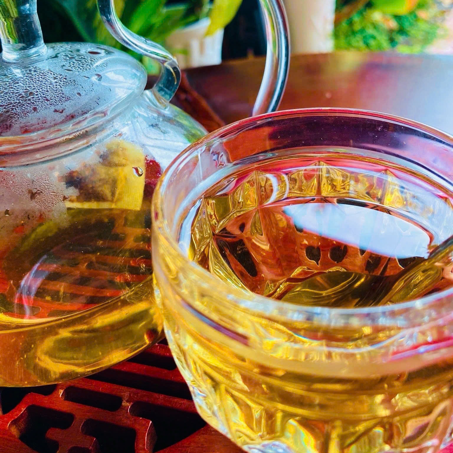 Đối tượng sử dụng phù hợp trà sâm đông trùng hạ thảo?