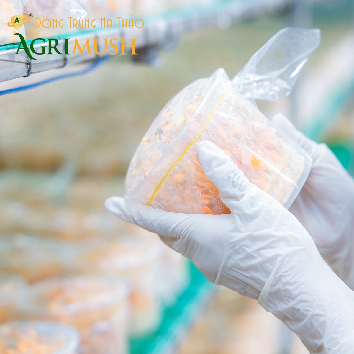 7. Kết hợp đông trùng hạ thảo với đồ cay nóng