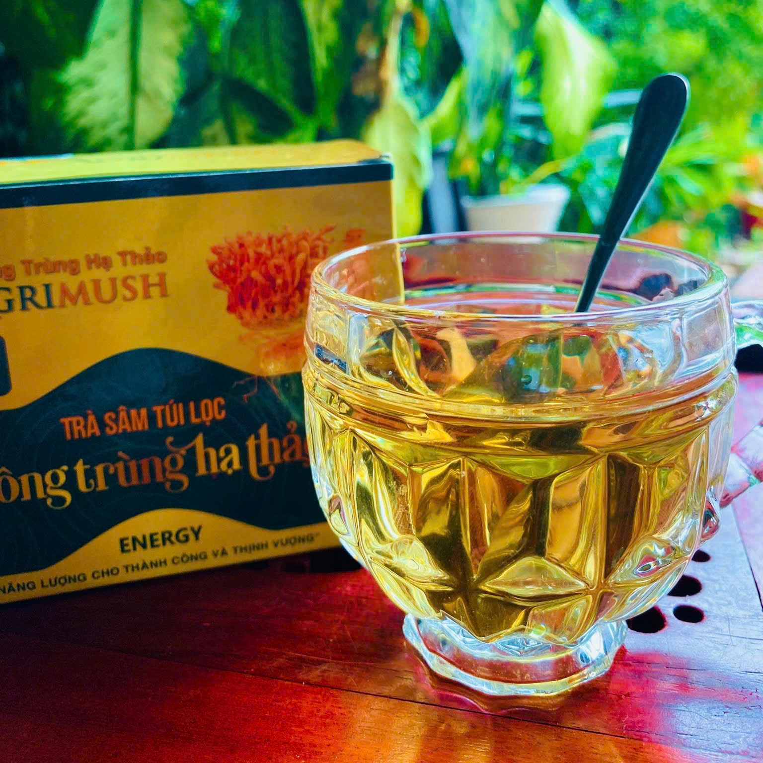 Uống trà sâm đông trùng hạ thảo mỗi ngày tốt không?