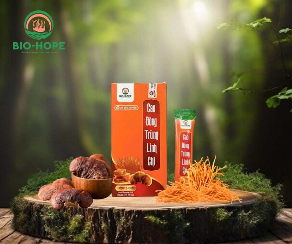 Uống cao đông trùng linh chi mỗi ngày được không?