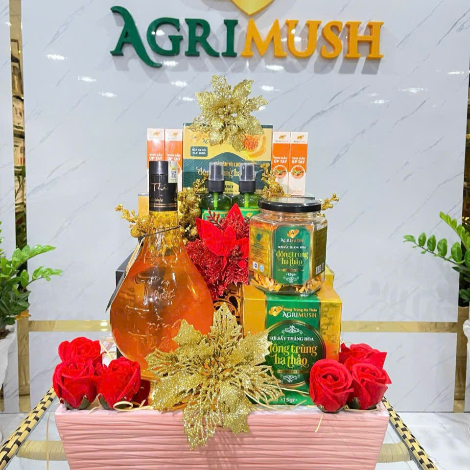 6 Lý Do Nên Chọn Trà Sâm Đông Trùng Hạ Thảo Làm Quà Biếu Đối Tác Sang Trọng