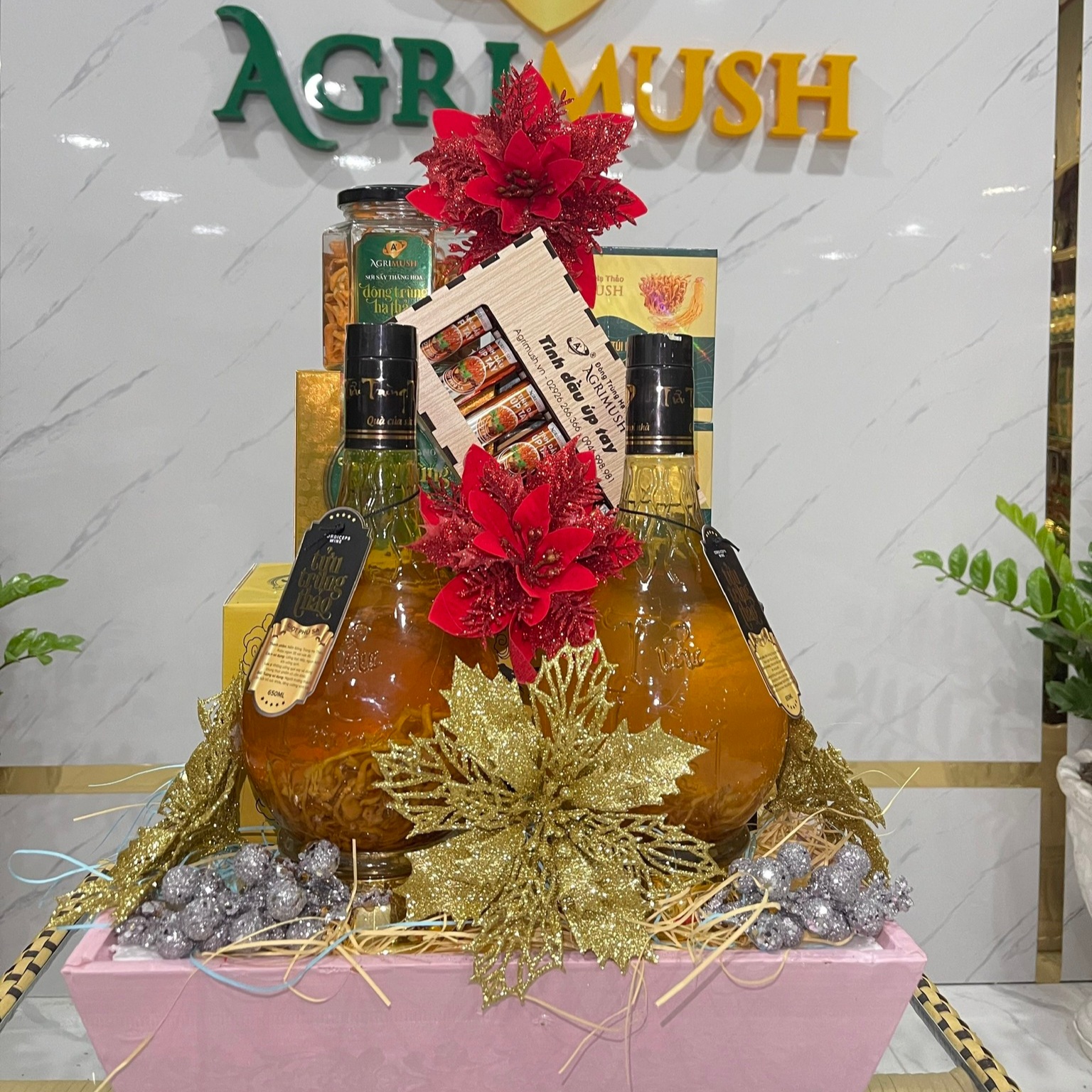 Trà Sâm Đông Trùng Hạ Thảo Giá Bao Nhiêu? Mua Ở Đâu Chính Hãng?