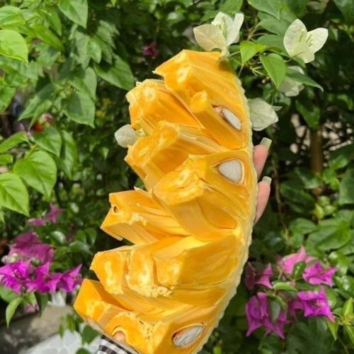 Ăn Mít Có Giúp Giảm Cân Không? Thời Điểm Ăn Mít Tốt Nhất