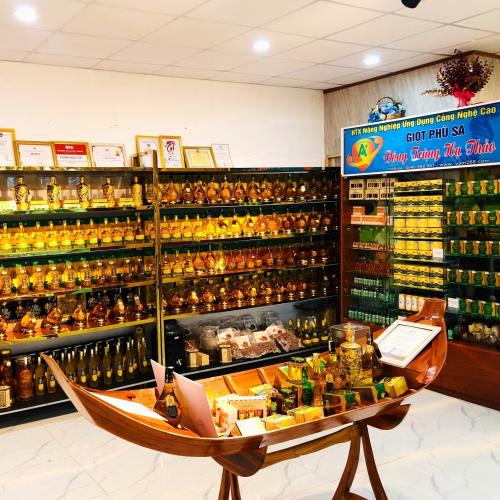 Giá trà sâm đông trùng hạ thảo bao nhiêu?