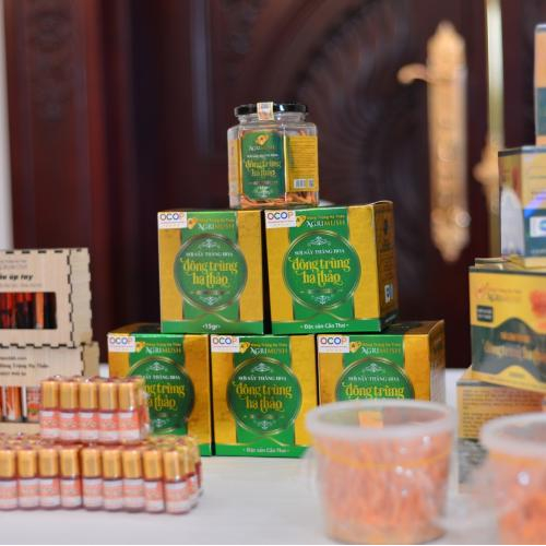 7 Kinh Nghiệm Mua Đông Trùng Hạ Thảo Sấy Thăng Hoa Chính Hãng