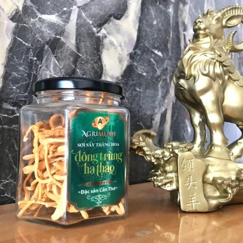 Đông Trùng Hạ Thảo Sấy Thăng Hoa Có Giúp Bồi Bổ Cơ Thể Không? 5 Lợi Ích Cần Biết