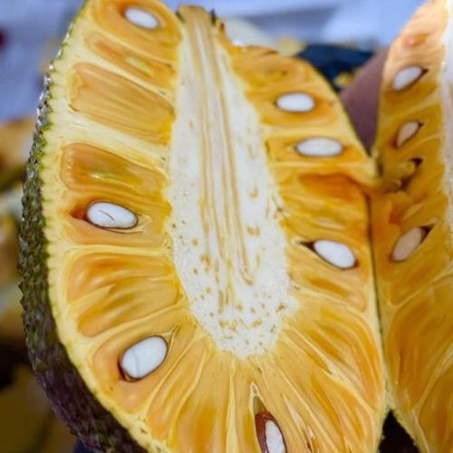 3. Những không nên ăn mít?