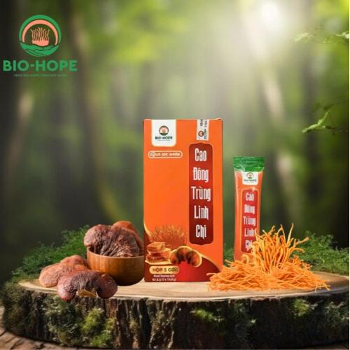 Những Lưu Ý Khi Dùng Cao Đông Trùng Linh Chi Bạn Nên Biết