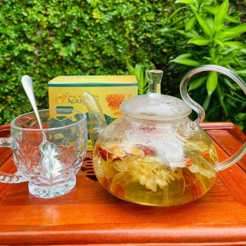 Pha trà sâm đông trùng hạ thảo nguyên chất