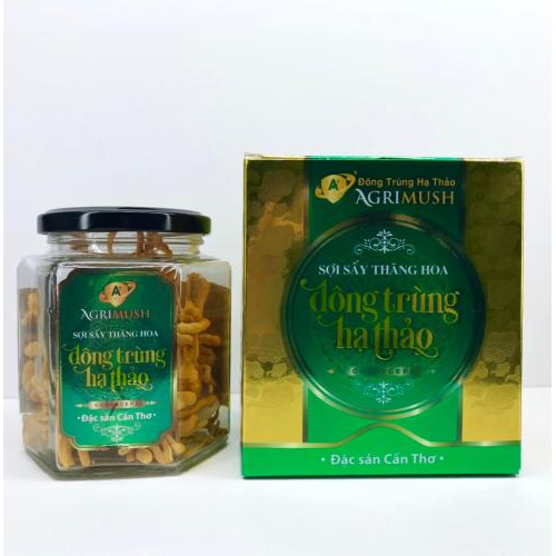 Ai nên sử dụng đông trùng hạ thảo?