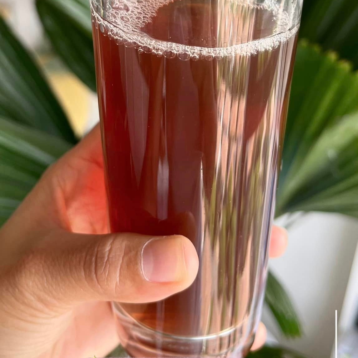 1. Người đang dùng thuốc đặc trị