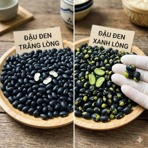 So Sánh Đậu Đen Xanh Lòng và Đậu Đen Trắng Lòng: Loại Nào Tốt Hơn?