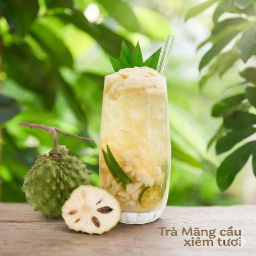 Trà mãng cầu là gì?