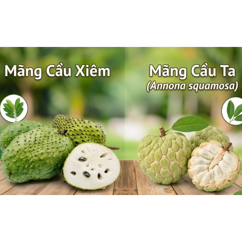 5. Giá trị dinh dưỡng