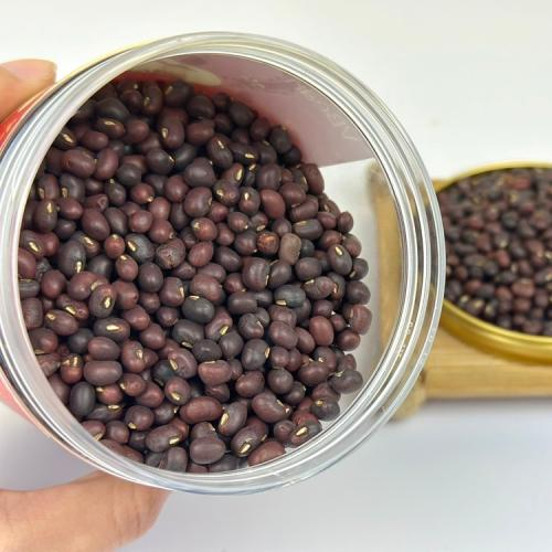 1. Quan sát hình dáng hạt đậu đỏ