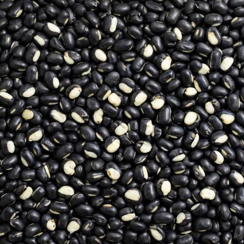 Đậu đen trắng lòng là gì?