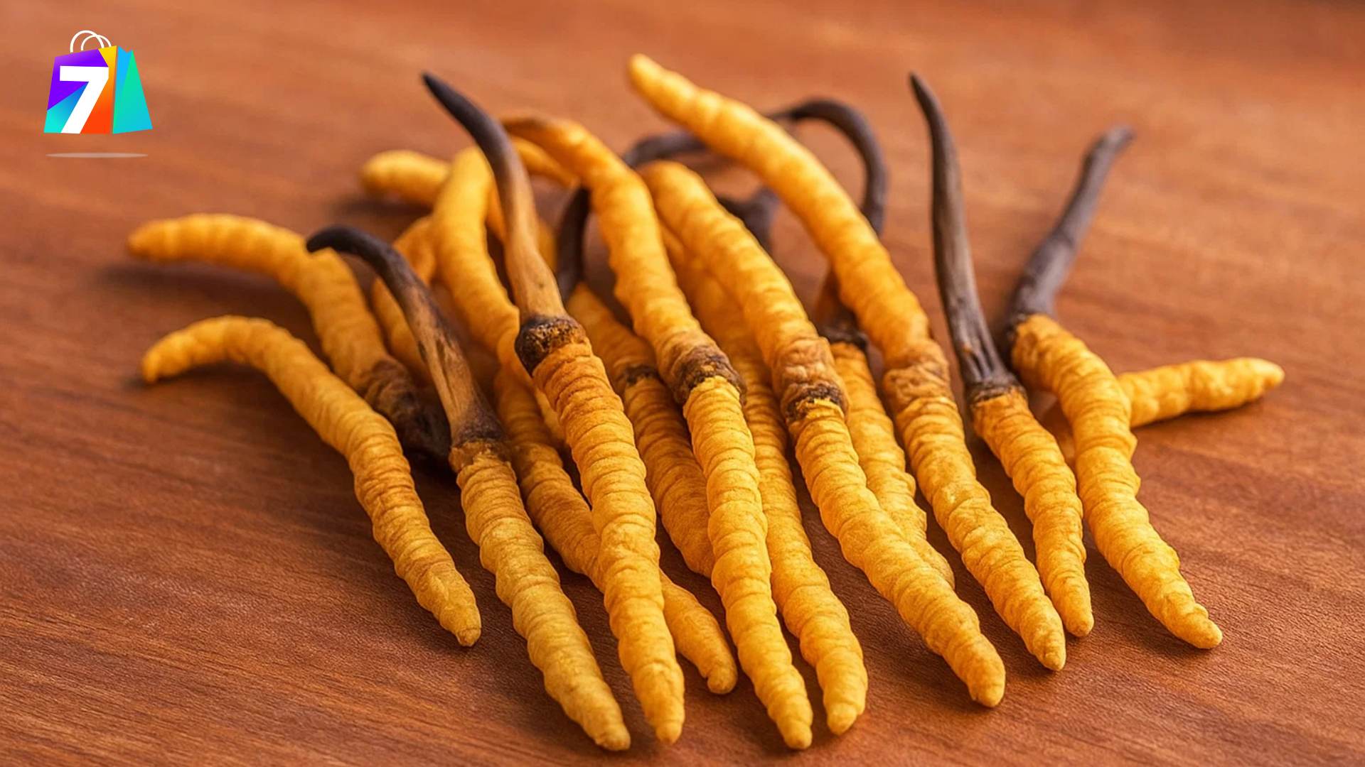 1. Tại sao đông trùng hạ thảo được xem là giải pháp toàn diện?