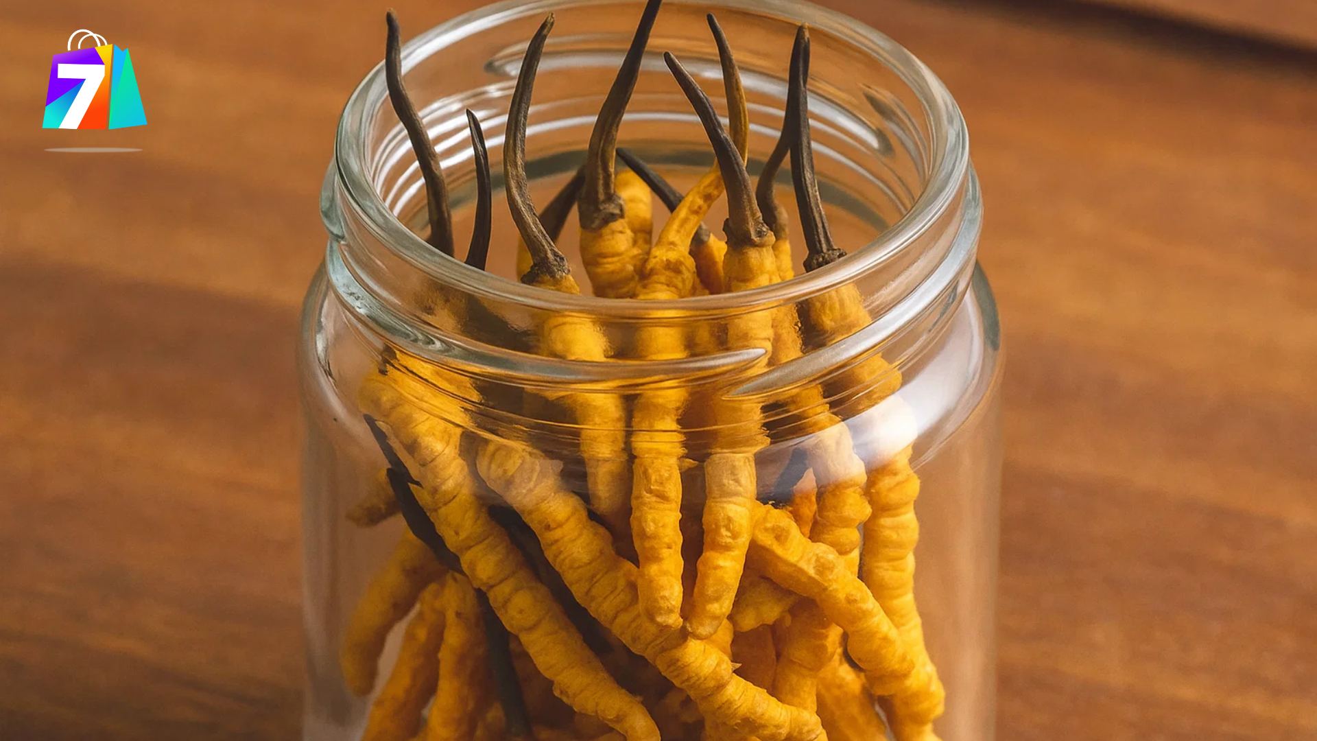 2. Lợi ích khi sử dụng đông trùng hạ thảo