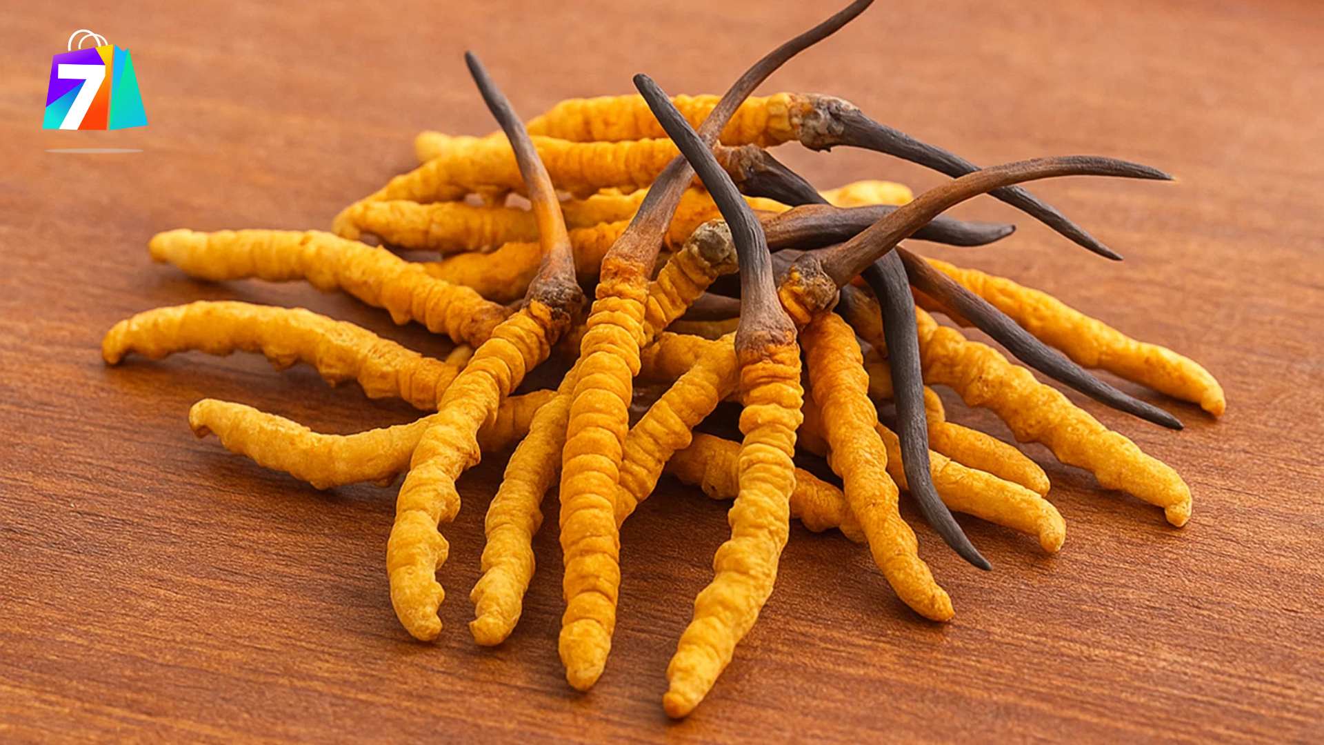 4. Vì sao chọn đông trùng hạ thảo của Shop 7?