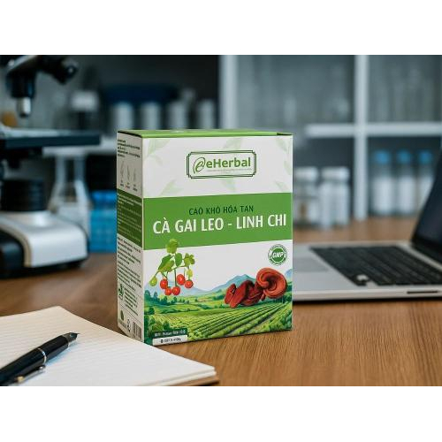 1. Ấn tượng đầu tiên về sản phẩm