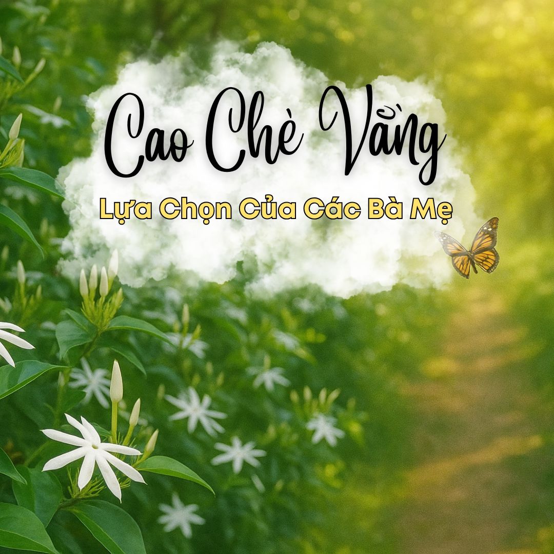 Tại Sao Cao Chè Vằng Của Gold Herbal Được Nhiều Mẹ Sau Sinh Lựa Chọn?