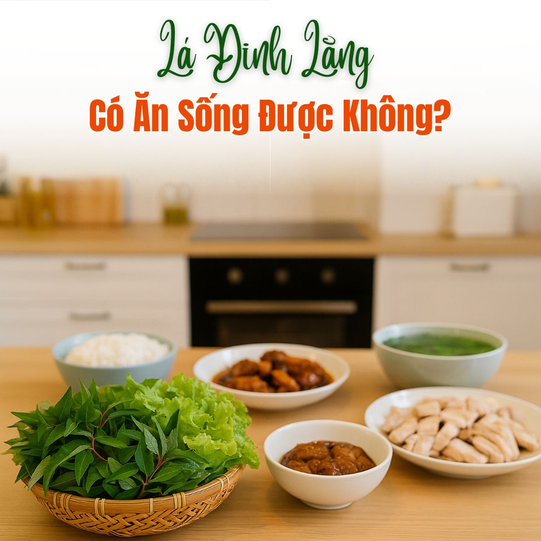 Lá Đinh Lăng: "Sâm của Người Nghèo" Có Ăn Sống Được Không?