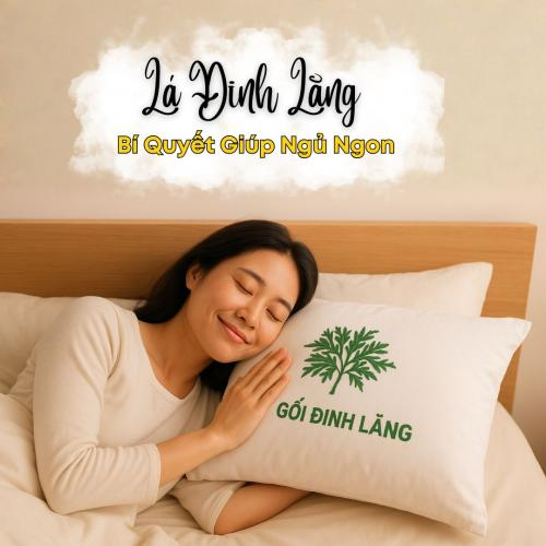 Bí Quyết Ngủ Ngon Từ Lá Đinh Lăng: Dễ Làm, Hiệu Quả Bất Ngờ!