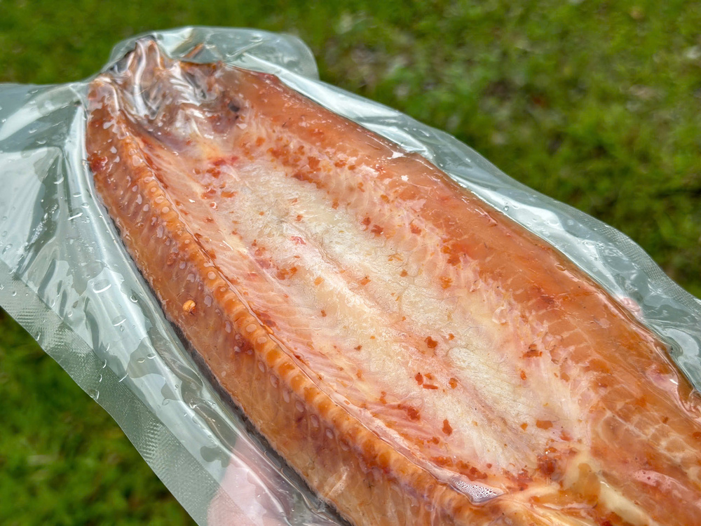 Mua cá chạch tươi sống