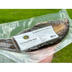 Hỗ trợ viêm gan mạn tính