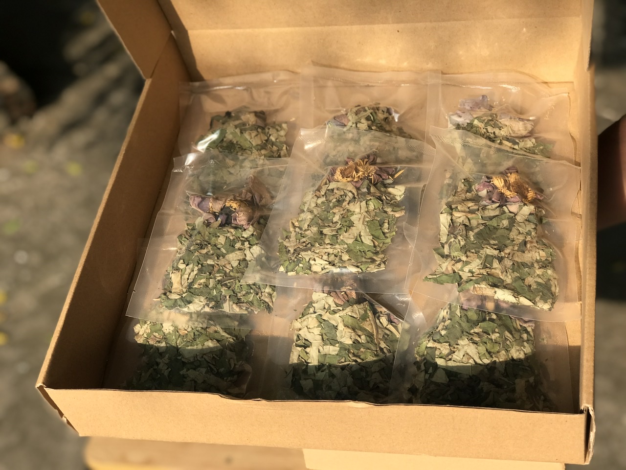 Đào thải đẩy sản dịch sau sinh