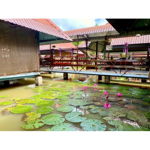 Du lịch sinh thái: Không phải trào lưu, mà là nhu cầu thật