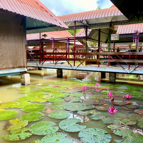 Bí Quyết Chụp Ảnh “Triệu Like” Khi Đi Phú Điền – Check-in Đẹp, Đăng Là Gây Sốt