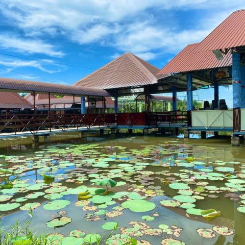 Vì Sao Du Lịch Sinh Thái Mang Lại Trải Nghiệm Đáng Nhớ Hơn Các Khu Vui Chơi?