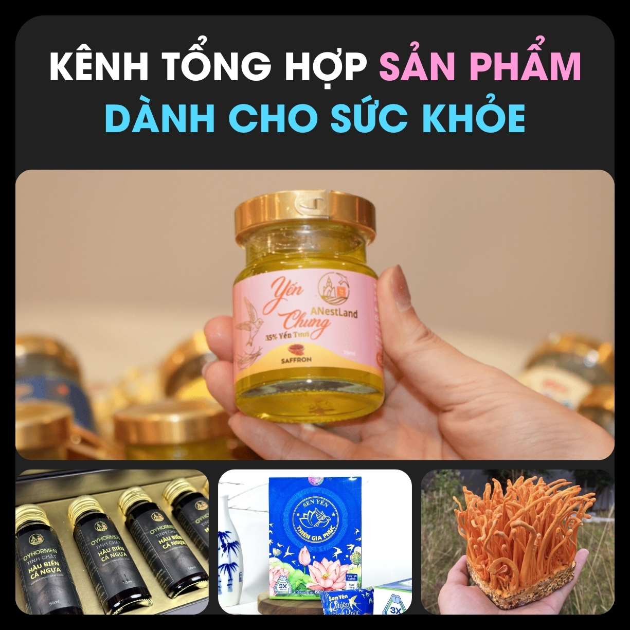 Tăng Cường Sức Khỏe Phái Mạnh