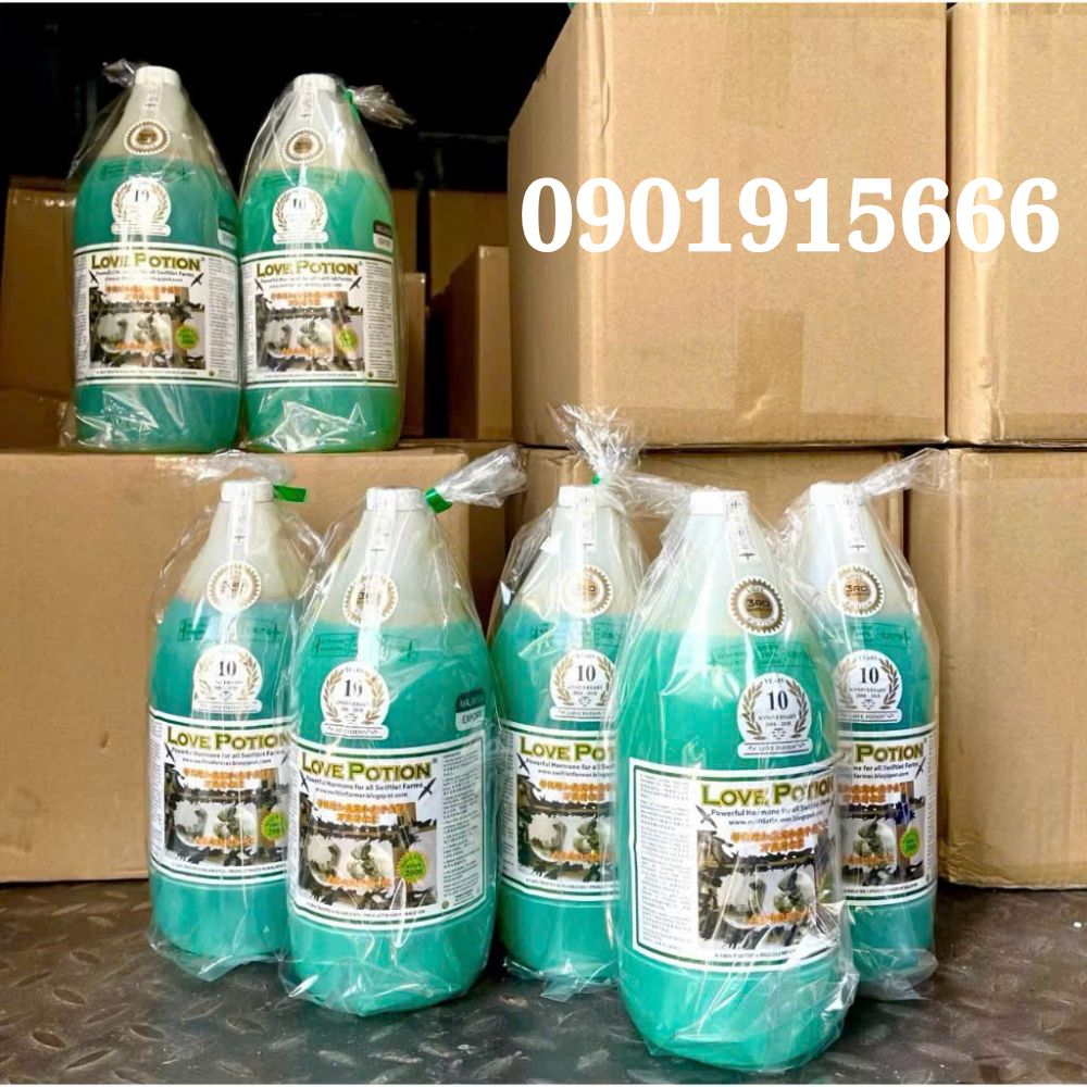 Điều Gì Khiến Love Potion 1L Trở Thành Lựa Chọn Hàng Đầu Của Các Nhà Nuôi Yến?