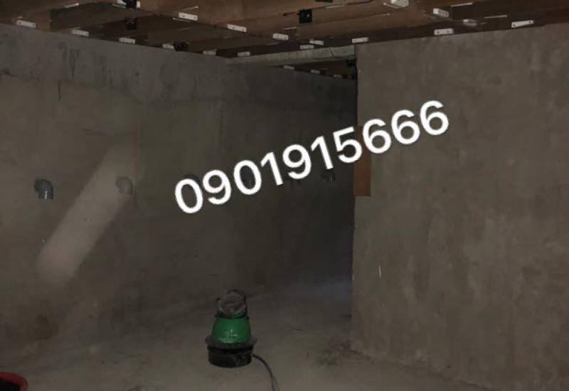 Nhiệt độ và độ ẩm là yếu tố tiên quyết.