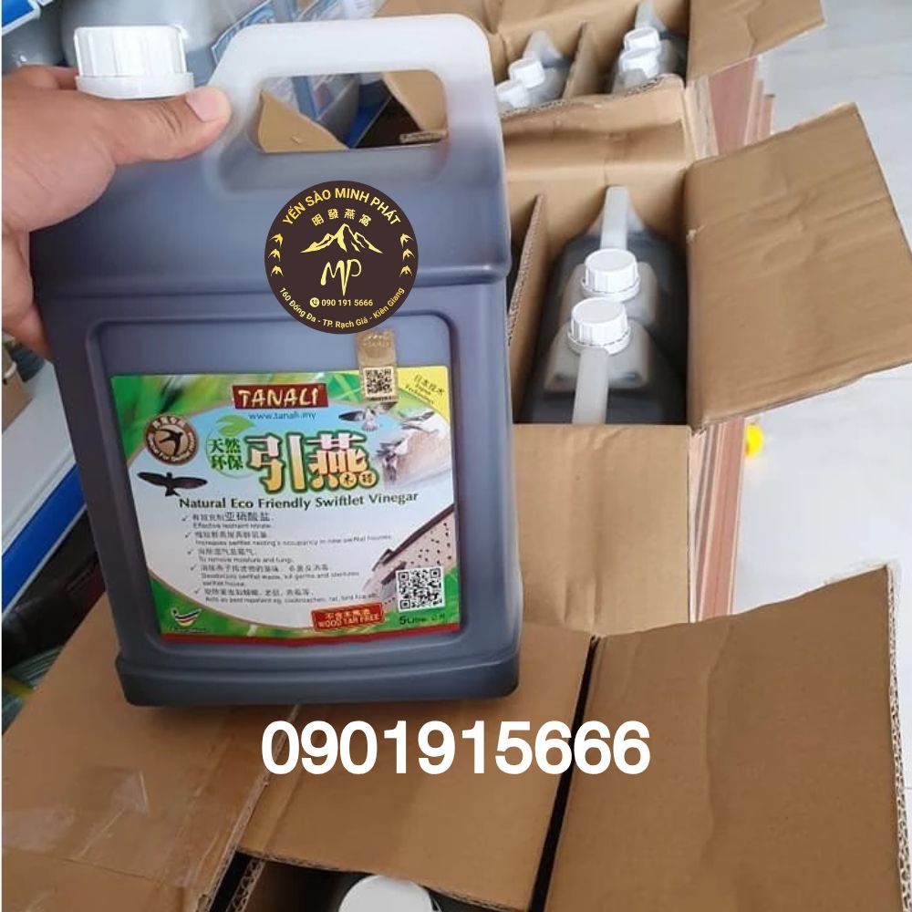 Dung Dịch Trị Mốc Gỗ Tanali Giải Pháp Chống Mốc Hiệu Quả Cho Nhà Yến