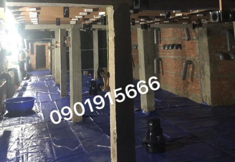 Làm thế nào để kiểm tra, giám sát nhiệt độ độ ẩm nhà yến tốt nhất?