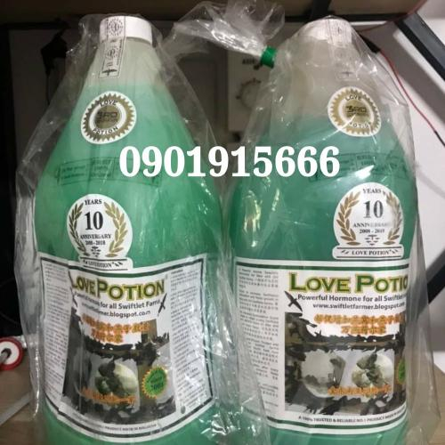 Có Nên Sử Dụng Dung Dịch Love Potion 1L Cho Nhà Yến Mới Xây Dựng Không?