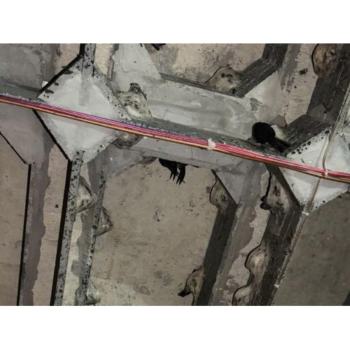 Tại sao nên chọn mua thiết bị ở các đơn vị uy tín, có kinh nghiệm lắp đặt kỹ thuật nhà yến?