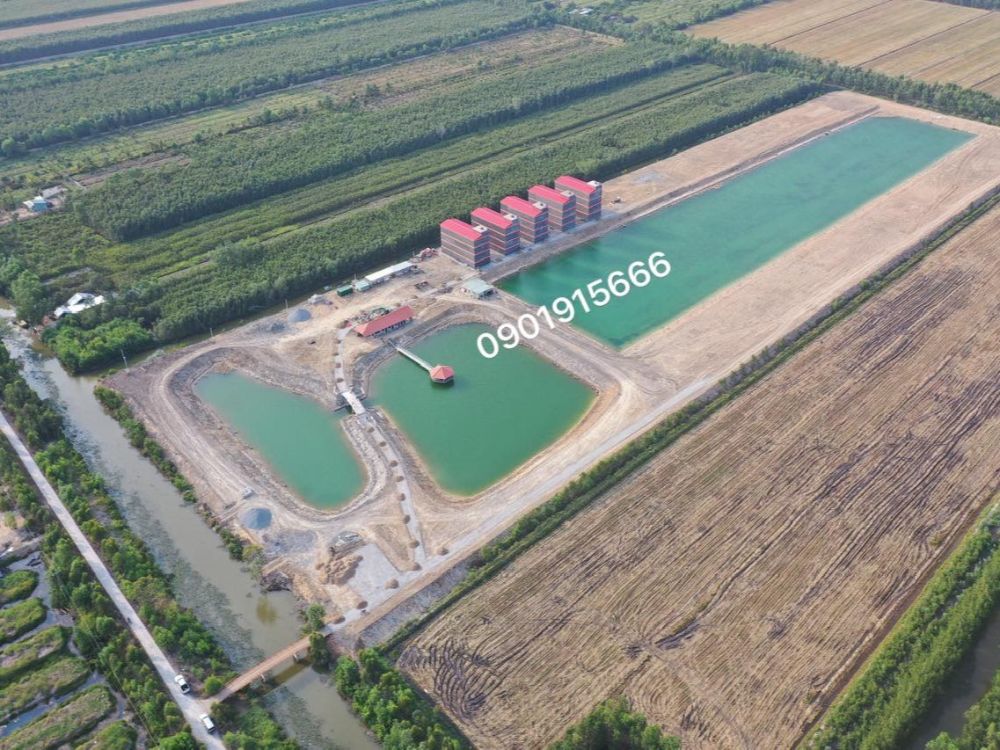 1. Chọn vị trí xây dựng nhà yến không phù hợp