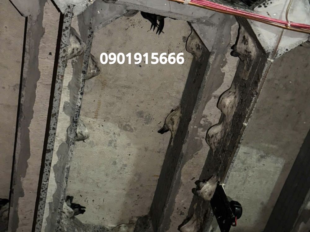 2. Sai kỹ thuật – Nguyên nhân khiến nhiều nhà yến đầu tư lớn nhưng thất bại