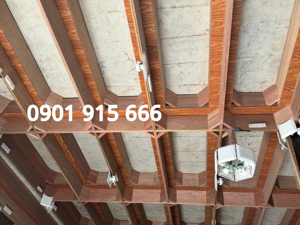 Vệ sinh và kiểm tra định kỳ, giữ môi trường sống lý tưởng cho chim yến