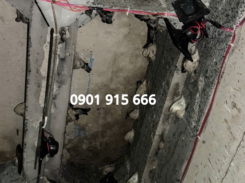 2. Cách tạo môi trường lý tưởng thu hút giúp chim yến ở lại dài lâu