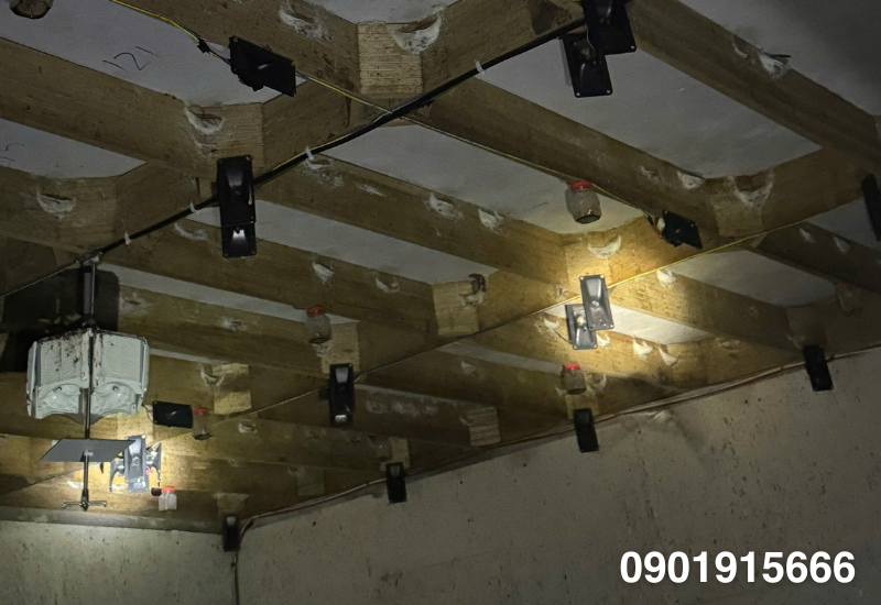 Hệ thống âm thanh dẫn dụ